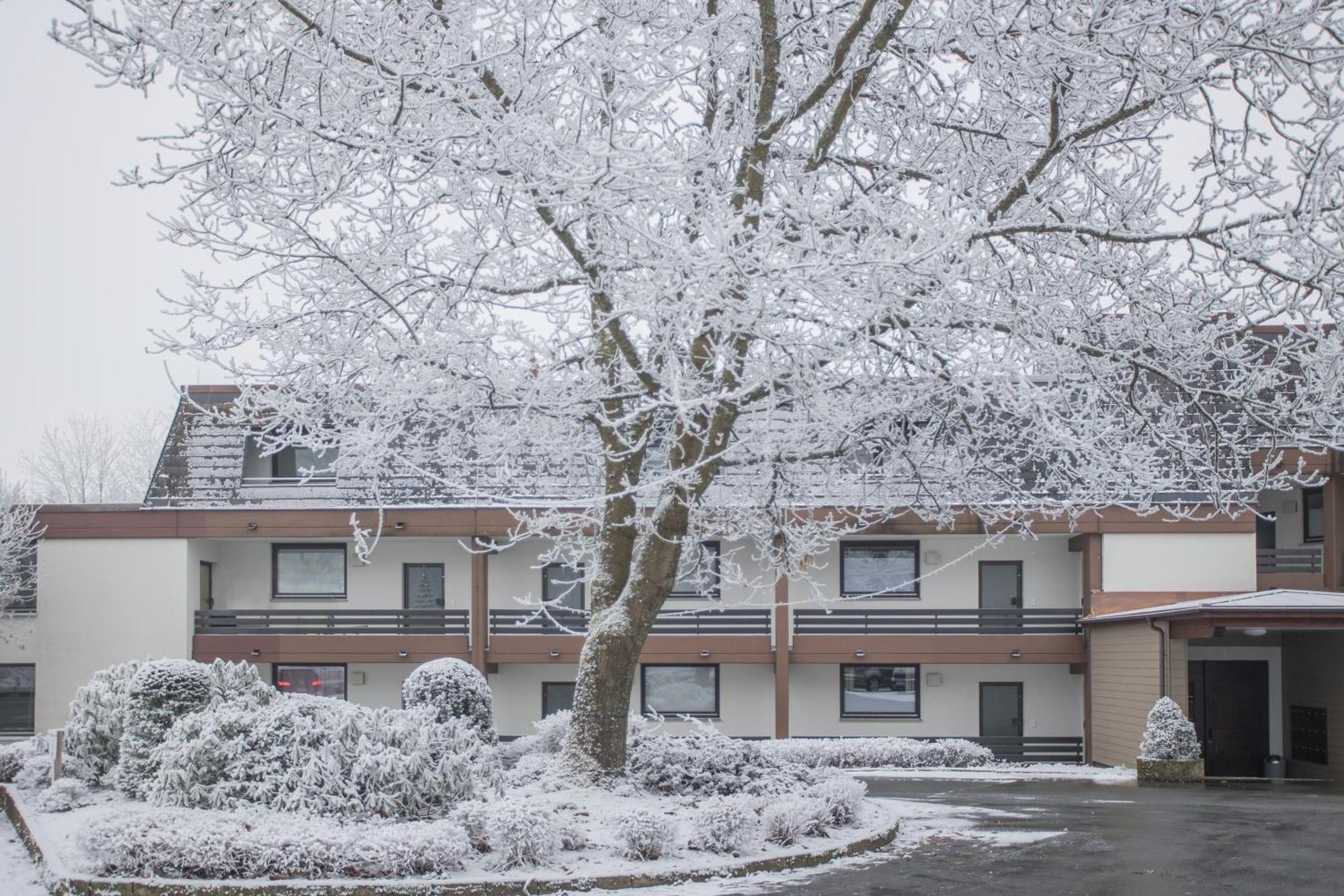 Deluxe Apartment For 5 - Sauna & Pool - Free Parking Winterberg Exteriér fotografie